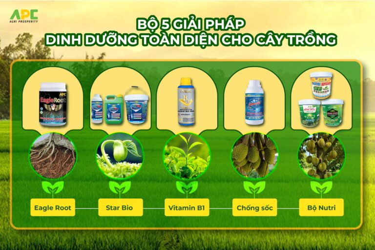 giải pháp dinh dưỡng cho cây trồng